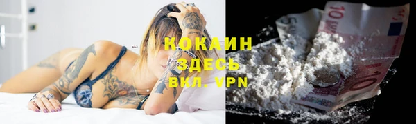 прущие крисы Белокуриха
