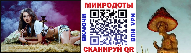 Псилоцибиновые грибы Psilocybine cubensis  Светлогорск 