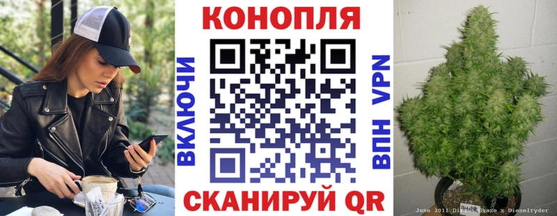 закладка  Светлогорск  Конопля план 